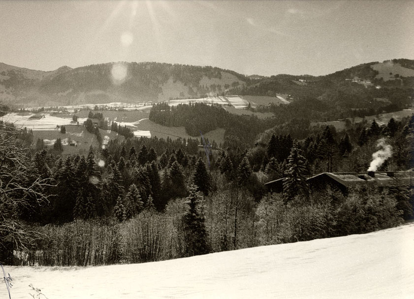 Warmton