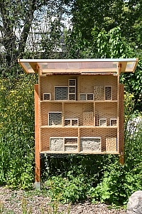 DSC_0678-web.jpg