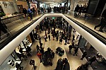 DSC_0442.jpg