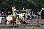 DSC_0902.jpg
