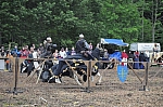DSC_0909.jpg