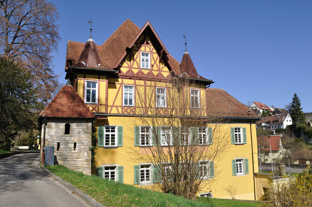 DSC_0232.jpg