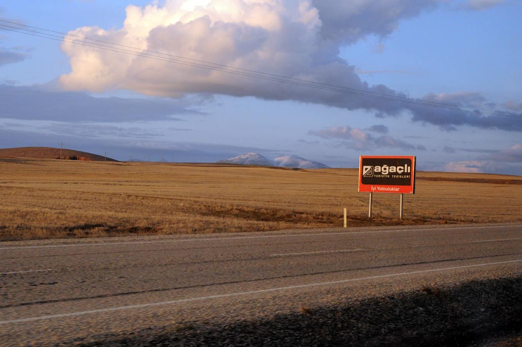 DSC_0118.jpg