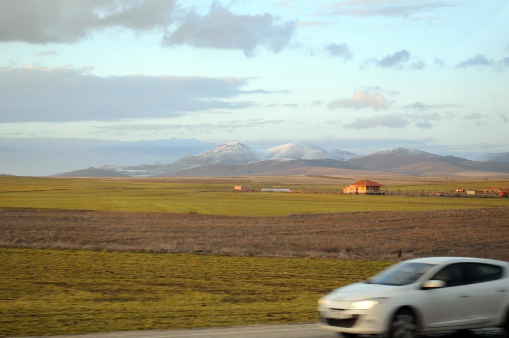 DSC_0122.jpg