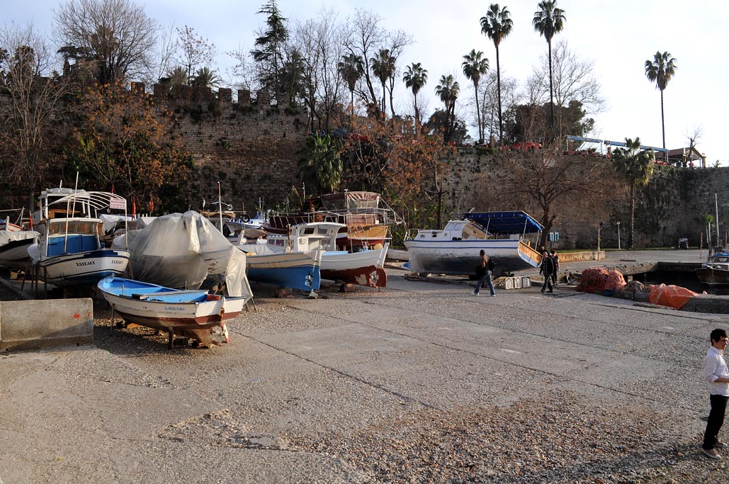 DSC_0735.jpg