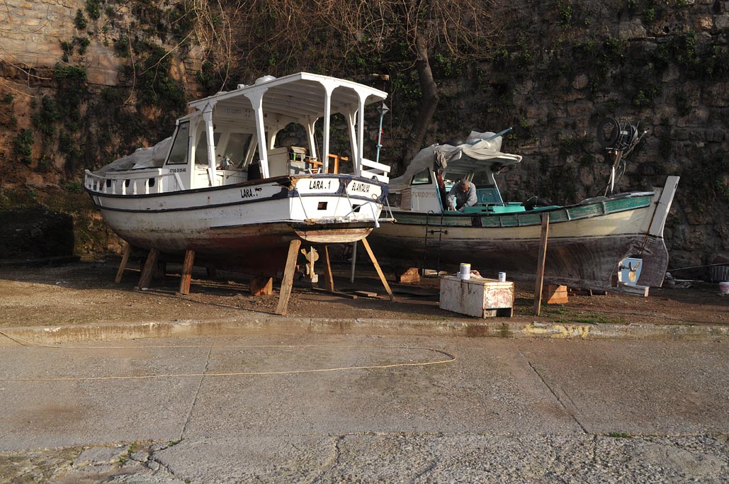 DSC_0737.jpg