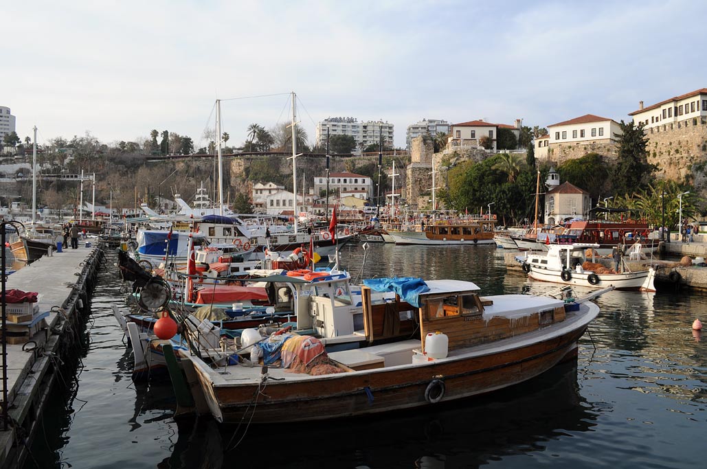 DSC_0740.jpg