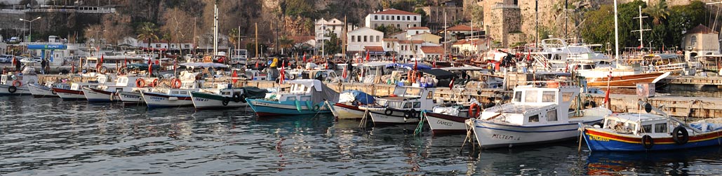 DSC_0746.jpg