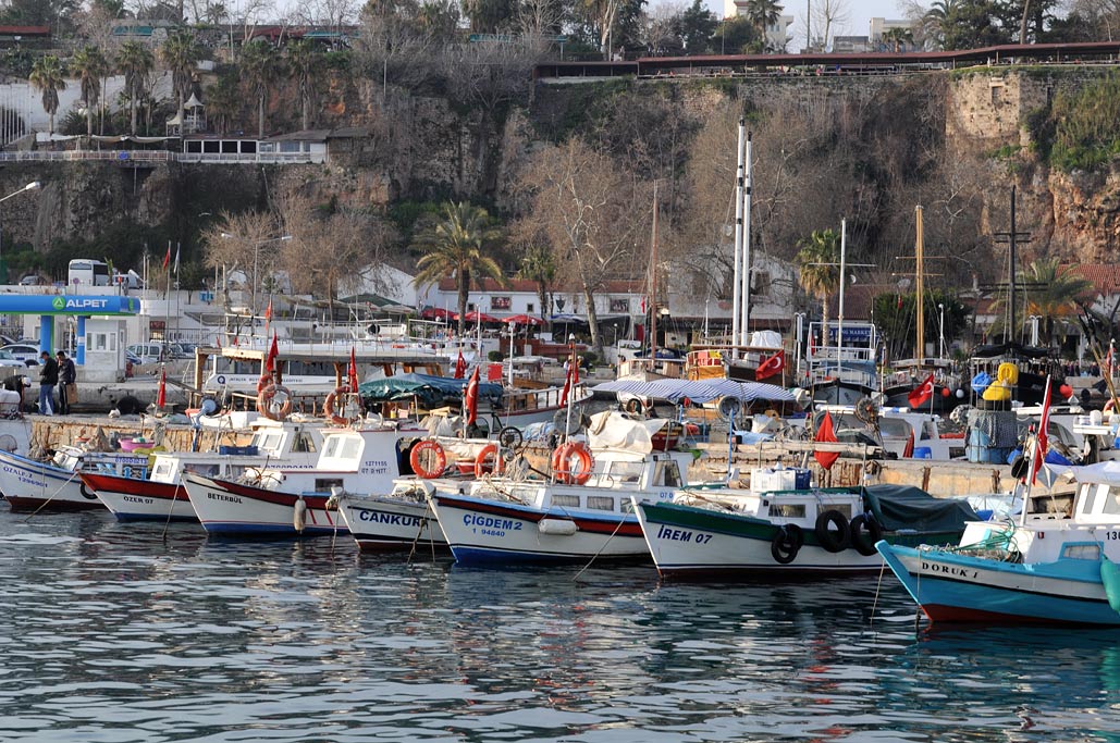 DSC_0748.jpg