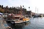 DSC_0732.jpg