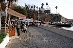 DSC_0733.jpg