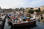 DSC_0740.jpg