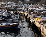 DSC_0744.jpg