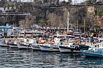 DSC_0748.jpg
