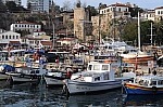 DSC_0750.jpg