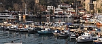 DSC_0764.jpg