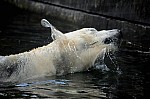 DSC_7138.jpg