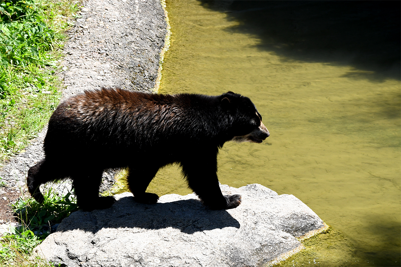 DSC_0126.jpg
